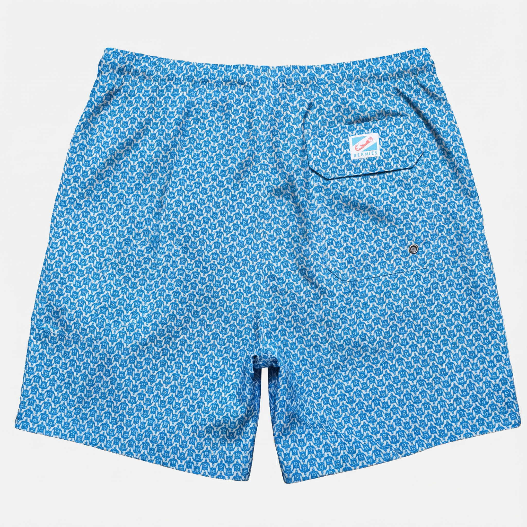 Turtle Blue