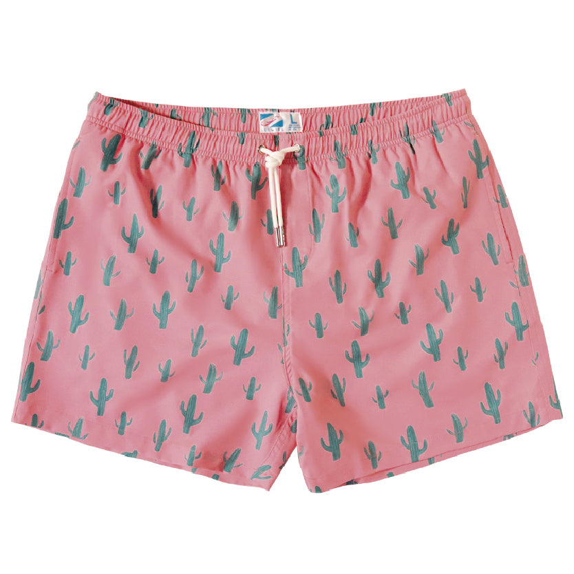 Cactus 2.0