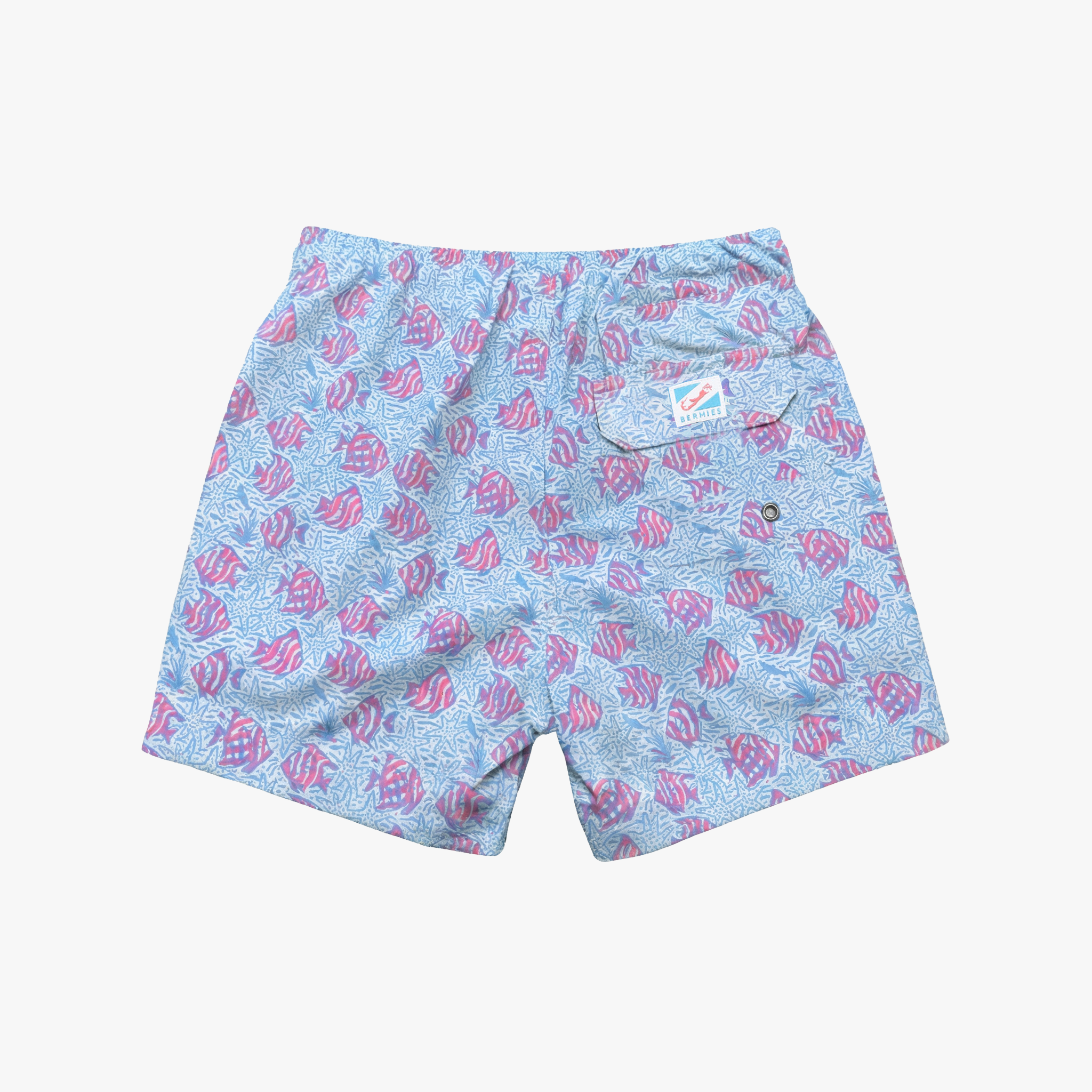 Coral Fish